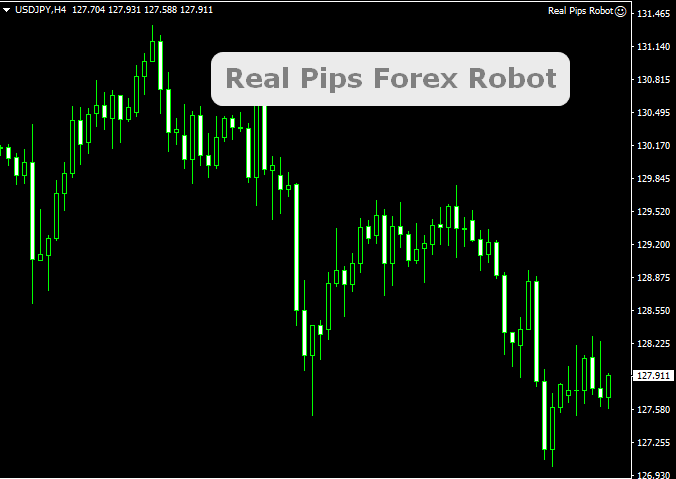 Real Pips Forex Robot Mt4